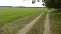 2016_0505_g.jpg