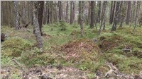 2017_1529.jpg